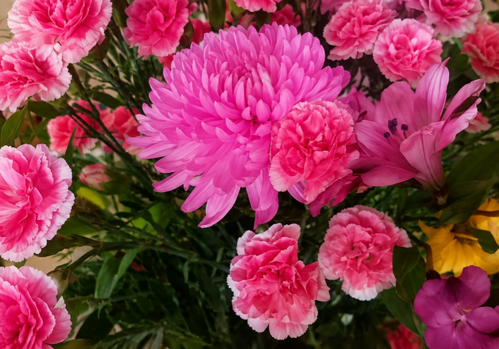 flower